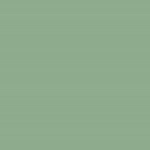 peinture Farrow Ball 214 Arsenic