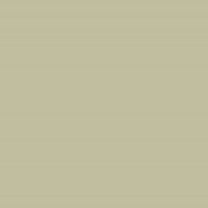 peinture farrow ball W9 Ash Grey