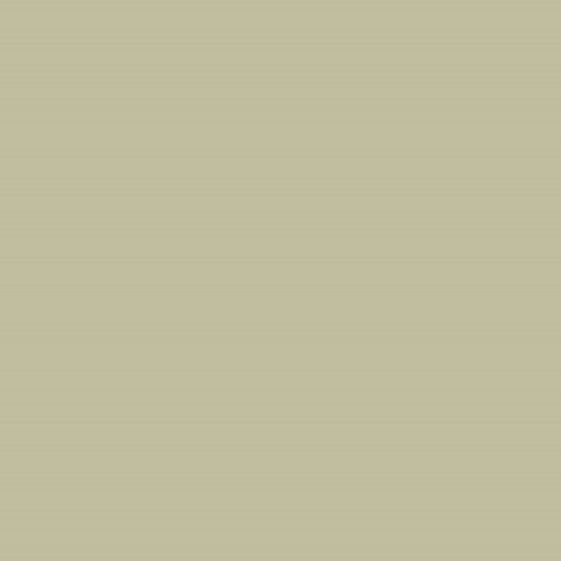 peinture farrow ball W9 Ash Grey