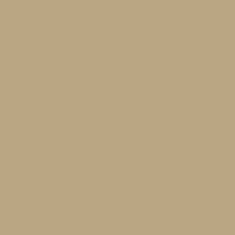 peinture farrow ball biscuit