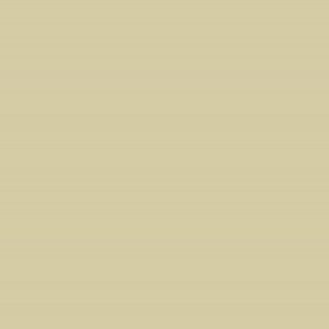 peinture farrow ball bone