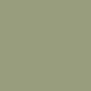 peinture farrow ball breakfastroom green