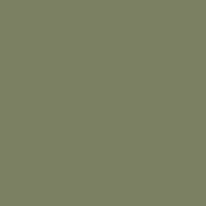 peinture farrow ball calke green