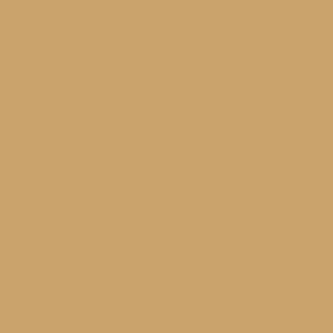peinture farrow ball cane