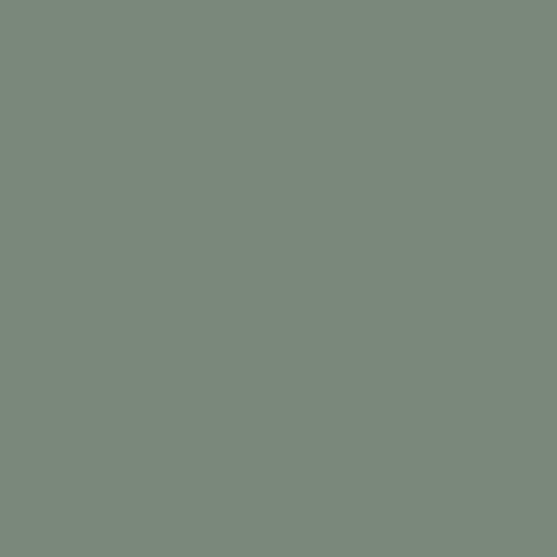 peinture farrow ball castle gray