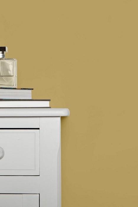 peinture farrow ball cats paw