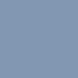 peinture farrow ball cooks blue