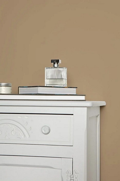 peinture farrow ball dauphin