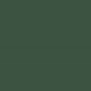 peinture farrow ball duck green