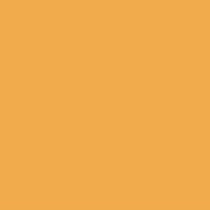 peinture farrow ball dutch orange