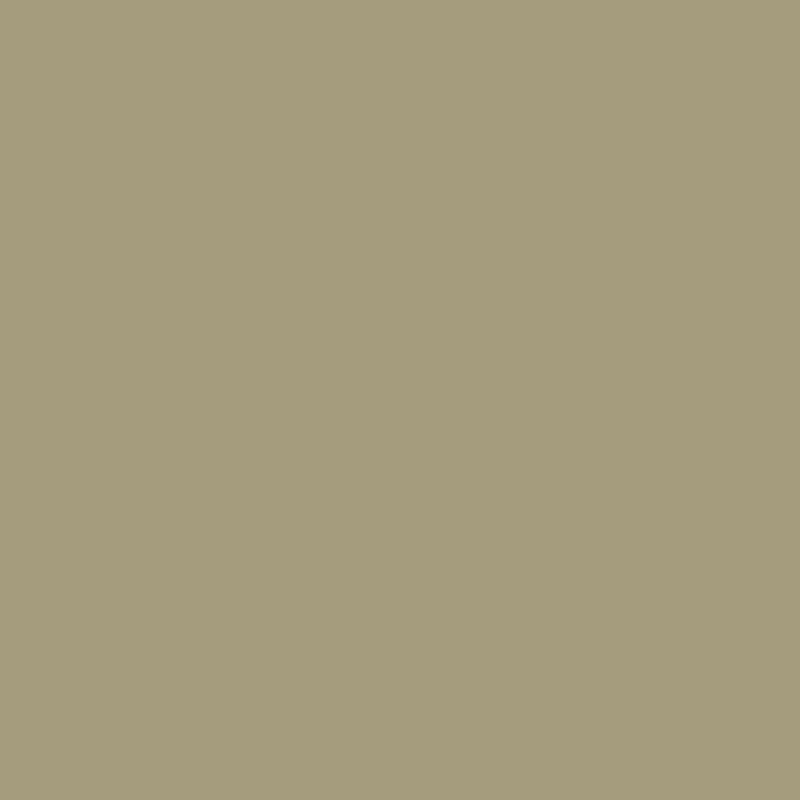 peinture farrow ball green stone