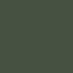 peinture farrow ball 224 minster green