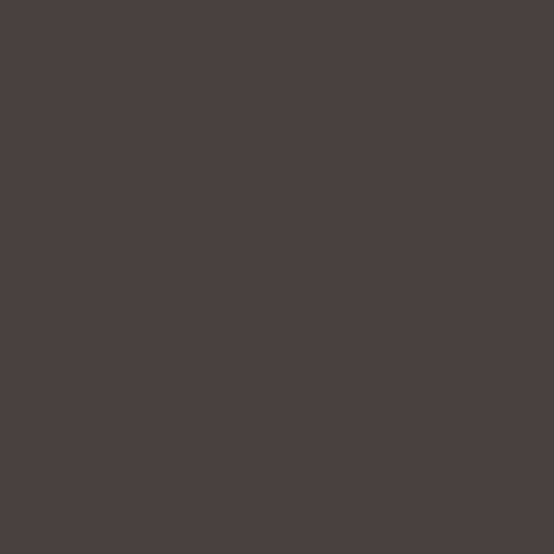peinture farrow ball 294 paean black