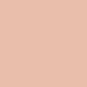 peinture farrow ball 9801 pink cup
