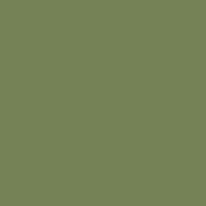 peinture farrow ball w56 sap green