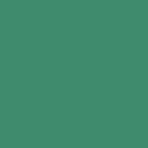 peinture farrow ball w50 verdigris green