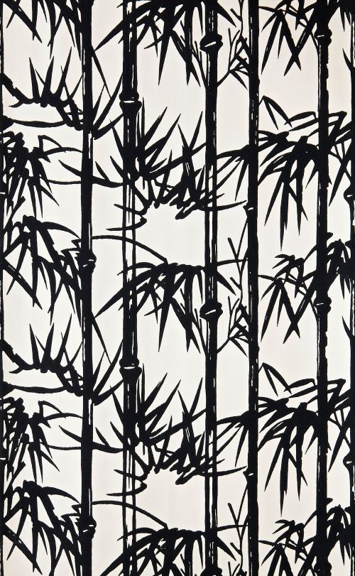 bamboo-