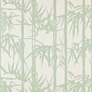 bamboo-