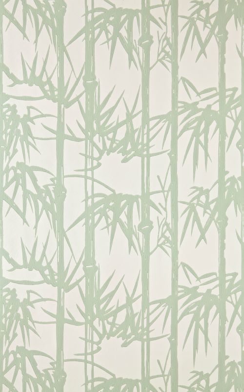bamboo-