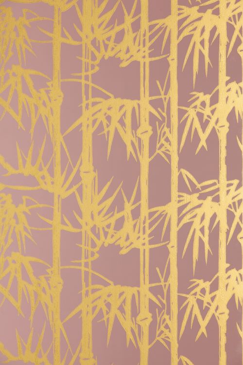 Bamboo-