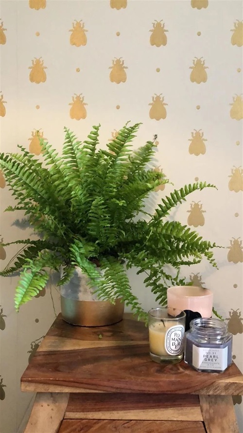 farrow and ball papier peint bumble bee 525