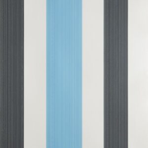 Chromatic-Stripe-